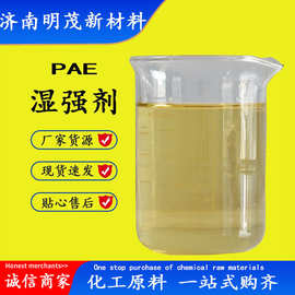 山東造紙濕強(qiáng)劑